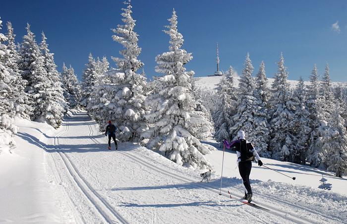 Turisticka Svycarna * Loucna nad Desnou